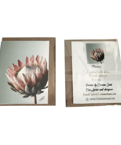 CORINNESMIT.ART | DINKY CARDS | PROTEA Card Size: 2.56" x 2.64" (83 mm x 67 mm), Includes Envelope, Medium: High Quality UV Print